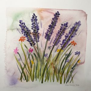 Burst of Color