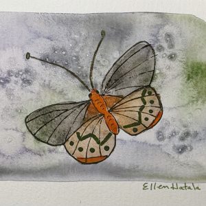 Butterfly in flight