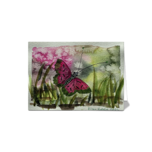 Pink butterfly