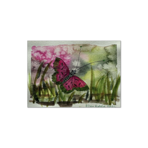 Pink butterfly