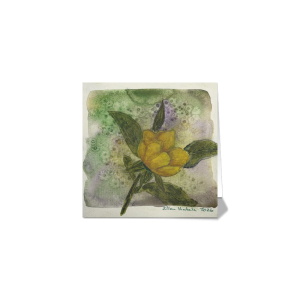 Just Picked Poppy Folded Card, 5 x 5 in (Set of 5)