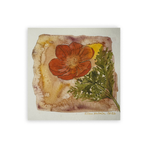 Orange Poppy Folded Card, 5 x 5 in (Set of 25, Fine Art Linen Paper)