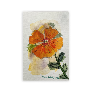 Orange Poppy Folded Card, 4 x 6 in (Set of 25)