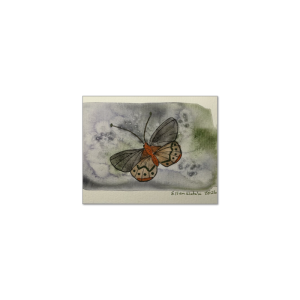 Butterfly in Flight Giclée Print (5 x 4 in)