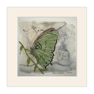 Just Picked Poppy Matted Giclée Print (6 x 6 in, 8 x 8 Devonshire Mat)