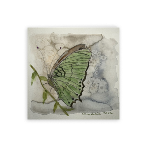 Resting Butterfly Folded Card, 5 x 5 in (Set of 5)