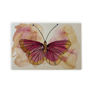 Coral Dreams Folded Card, 4 x 6 in (Set of 5)
