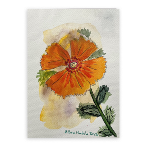 Ember Bloom Folded Card, 5 x 7 in (Set of 5)