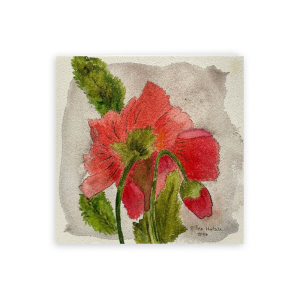 Coral Poppy Folded Card, 5 x 5 in (Set of 25)