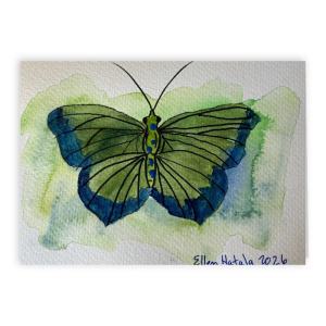 Polka Dots Butterfly Folded Card, 5 x 7 in (Set of 5)