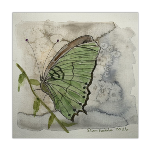 Resting Butterfly Giclée Print (6 x 6 in)