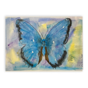 Blue Butterfly Folded Card, 5 x 7 in (Set of 25)