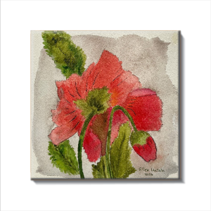 Coral Poppy in Bloom Ceramic Coaster, Square