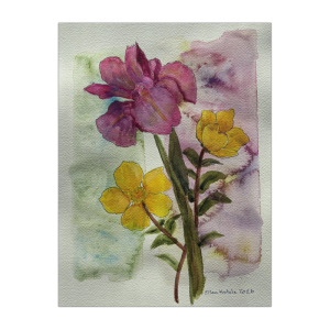 Iris and Poppies Giclée Print (9 x 12 in, Standard Packaging)