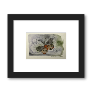 Butterfly in Flight Framed Giclée Print (6 x 4 in, Gallery Economy Standard Black Frame)