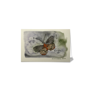 Butterfly in Flight Folded Card, 4 x 6 in