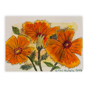 Orange Surprise Folded Card, 5 x 7 in (Set of 5)
