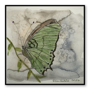 Resting Butterfly Wall Art Standout (8 x 8 in)