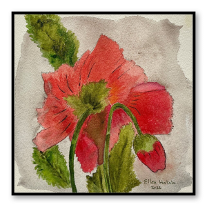 Coral Poppy in Bloom Wall Art Standout (8 x 8 in)