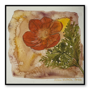Orange Poppy Wall Art Standout (8 x 8 in)