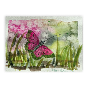 Pink Butterfly Folded Card, 5 x 7 in (Set of 5, Smooth Matte White)
